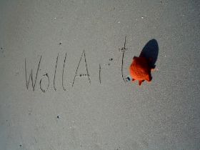 WollArt Bild (15).JPG